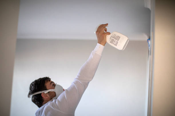 Best Commercial Mold Removal  in Cleveland Heights, OH