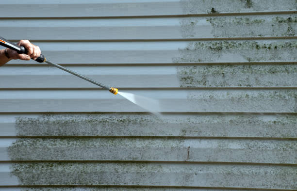 Best Commercial Mold Removal  in Cleveland Heights, OH