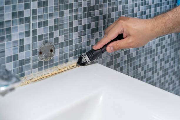 Best Office Mold Removal Services  in Cleveland Heights, OH