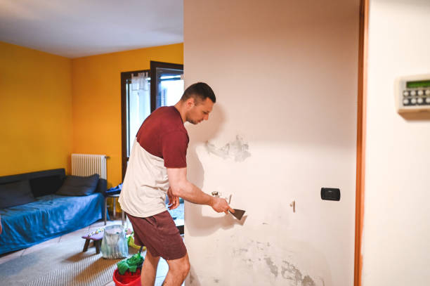 Best Best Mold Removal Companies  in Cleveland Heights, OH
